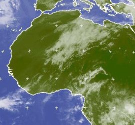 le-piogge-nel-sahara-algerino-di-domenica-6-marzo