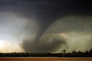 avvio-shock-della-stagione-2012-dei-tornado-negli-usa,-almeno-12-vittime