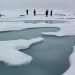 sotto-il-ghiaccio-artico-prolifera-la-vita,-sensazionale-scoperta