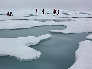 sotto-il-ghiaccio-artico-prolifera-la-vita,-sensazionale-scoperta