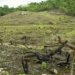 la-deforestazione-delle-foreste-pluviali-cambiera-il-regime-pluviometrico