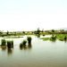 altre-alluvioni-in-africa:-diluvio-nel-malawi,-centinaia-di-case-distrutte