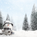 fase-mite-di-breve-durata,-l’inverno-e-vivace