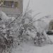 kiev,-minsk-e-bucarest-paralizzate-dalla-neve,-35°c-in-svezia