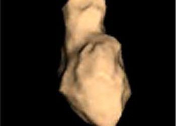 asteroide-di-5-km-di-diametro,-domani-sfiorera-terra