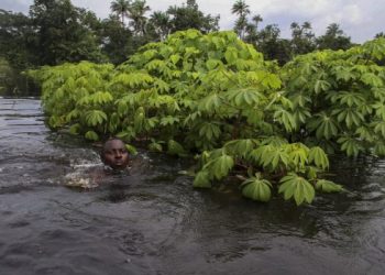 alluvioni-in-nigeria,-case-occupate-da-coccodrilli-e-serpenti