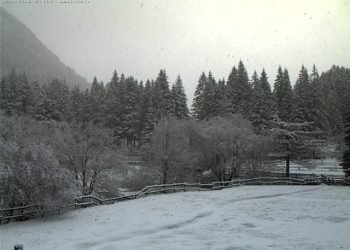 spettacolare-nevicata-sull’appennino-parmense