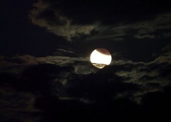 eclisse-di-luna-del-25-aprile:-tutti-con-gli-occhi-all’insu