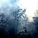 l’australia-brucia:-devastanti-incendi-e-record-di-caldo-a-ripetizione