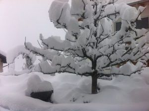 svizzera:-il-ritorno-dell’inverno