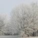 galaverna-e-neve-da-nebbia:-l’inverno-anticiclonico-della-val-padana,-foto