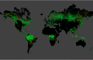 deforestazione:-un-enorme-problema-poco-considerato.-ora-c’e-un-nuovo-studio-della-nasa