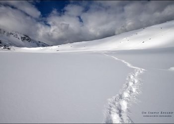 2-metri-di-neve-a-1500-metri-di-quota-in-corsica.-alto-rischio-valanghe