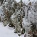 lunga-fase-artica:-10-febbraio-la-giornata-piu-fredda-dell’inverno