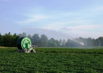 spray-anti-stress,-per-aiutare-le-piante-a-combattere-la-carenza-d’acqua