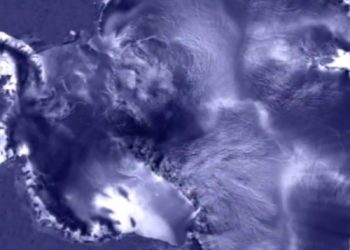 scoperte-nuove-forme-di-vita-sotto-il-giacchio-antartico
