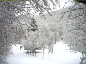 gelate-diffuse,-altre-nevicate-su-regioni-adriatiche-e-al-sud