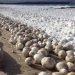 sfere-di-ghiaccio-sulle-rive-del-lago-michigan:-spettacolo-surreale