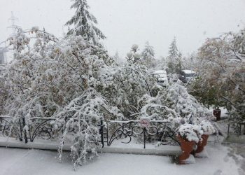 prima-neve-in-siberia
