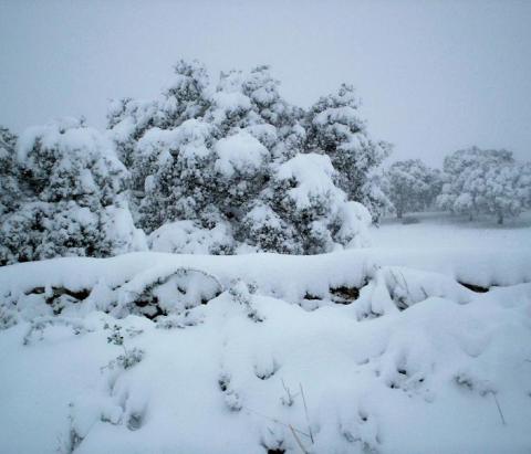 immagine 5 del capitolo 1 del reportage la storica nevicata di meta dicembre sulla sardegna