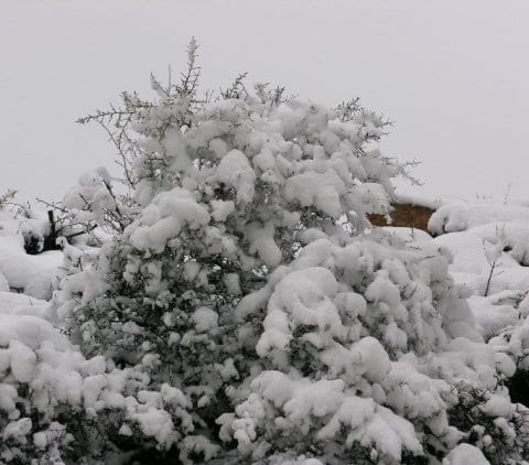 immagine 2 del capitolo 4 del reportage la storica nevicata di meta dicembre sulla sardegna