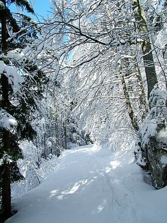 immagine 5 del capitolo 1 del reportage il monte nevoso slovenia sotto quasi 3 metri di neve