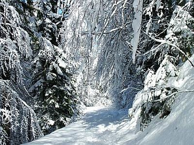 immagine 1 del capitolo 2 del reportage il monte nevoso slovenia sotto quasi 3 metri di neve