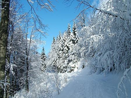 immagine 2 del capitolo 2 del reportage il monte nevoso slovenia sotto quasi 3 metri di neve