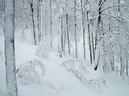 immagine 3 del capitolo 1 del reportage il monte nevoso e dintorni a meta inverno