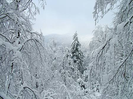 immagine 4 del capitolo 1 del reportage il monte nevoso e dintorni a meta inverno