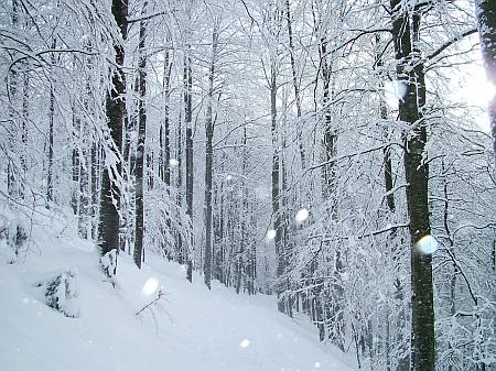 immagine 5 del capitolo 1 del reportage il monte nevoso e dintorni a meta inverno