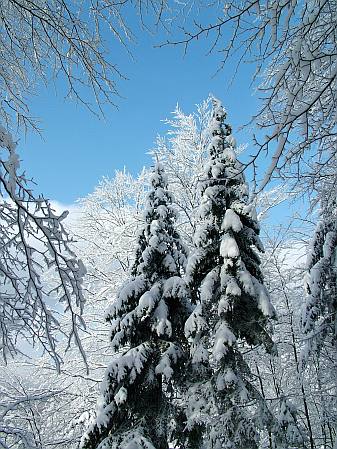 immagine 3 del capitolo 2 del reportage il monte nevoso e dintorni a meta inverno