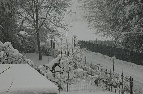 immagine 5 del capitolo 7 del reportage la piu grande nevicata degli ultimi 20 anni in lombardia