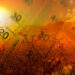 previsioni-meteo:-le-temperature-sono-in-aumento-e-si-avvicinano-ai-30°c!