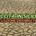 siccita-in-sicilia:-situazione-catastrofica,-poche-speranze-dal-meteo