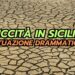 siccita-in-sicilia:-situazione-catastrofica,-poche-speranze-dalle-previsioni-meteorologiche