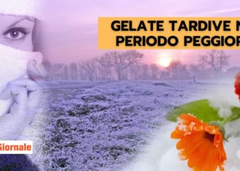 gelate-tardive:-un-fenomeno-meteorologico-nel-peggior-momento-dell’anno