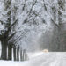 quando-arrivera-la-prima-neve-in-collina?-previsioni-meteo-per-novembre